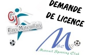 DEMANDE DE LICENCE 2016/2017