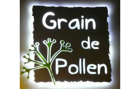 GRAIN DE POLLEN